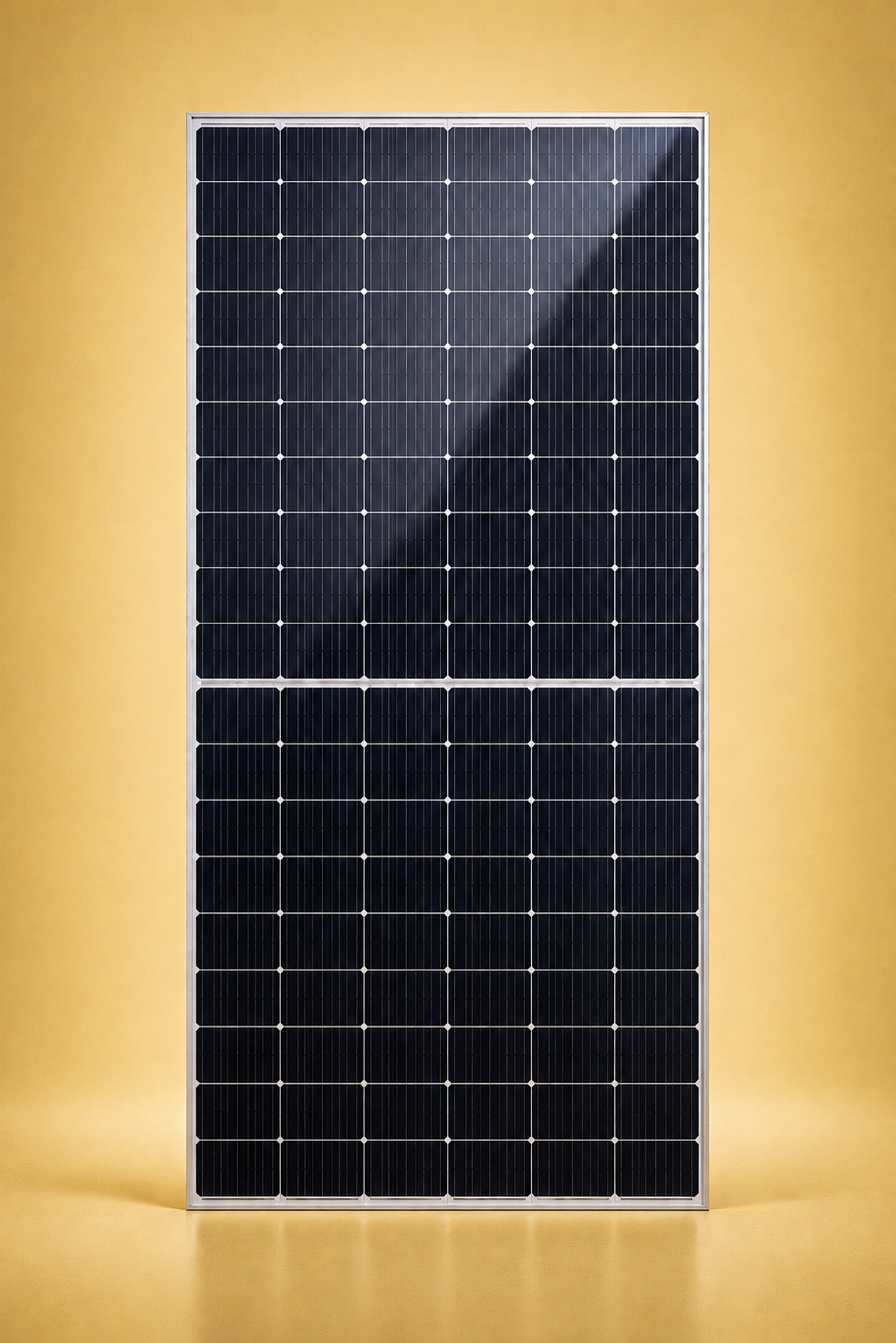 Risen Energy 585W Bifacial